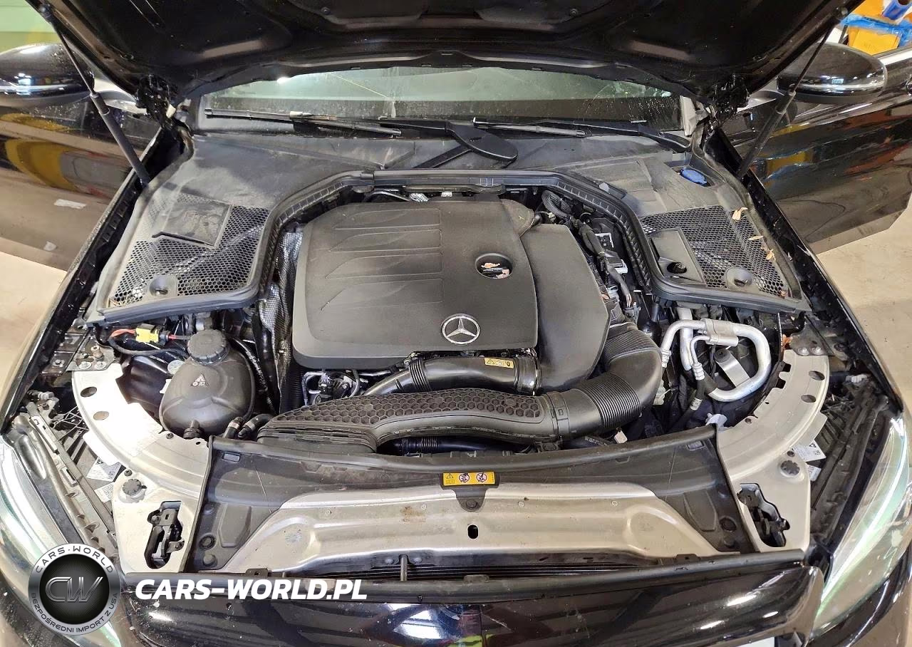 2020 Mercedes-Benz C 300 4Matic VIN:W1KWF8EB4LR575001 - 11
