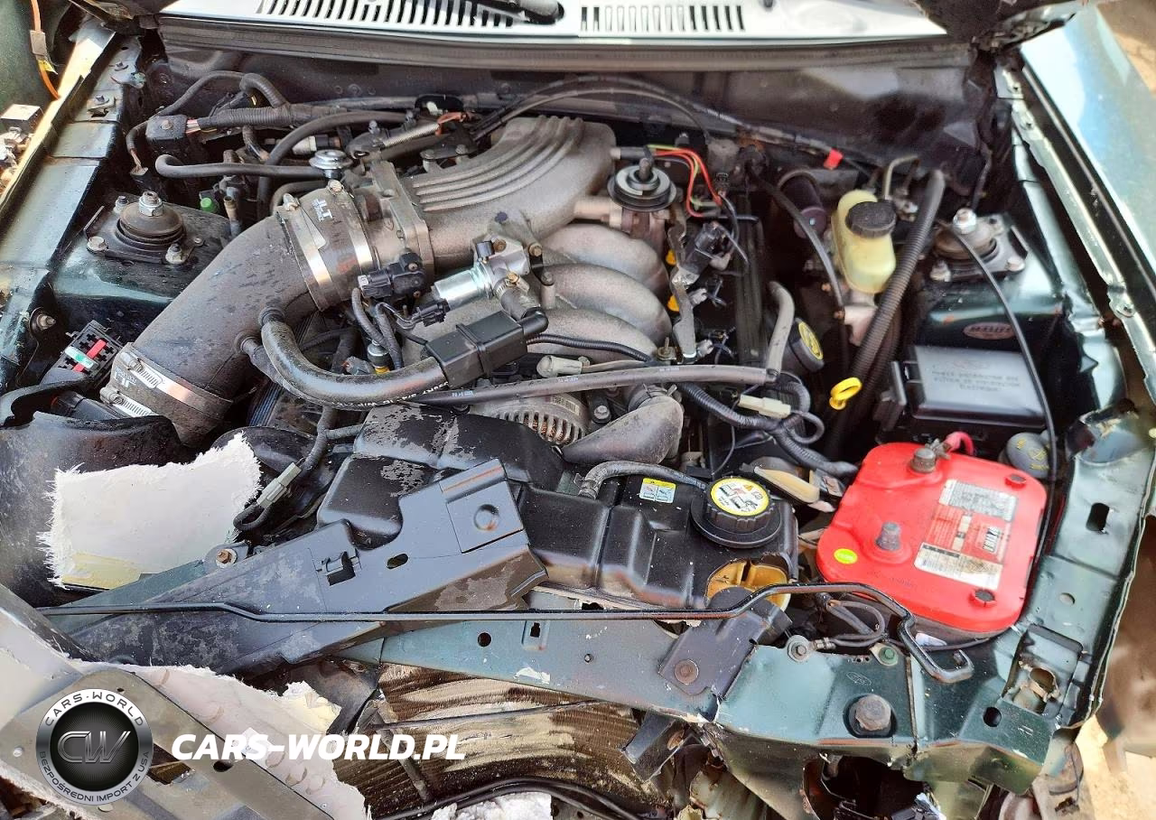 2001 Ford Mustang Gt VIN:1FAFP42X91F258304 - 11