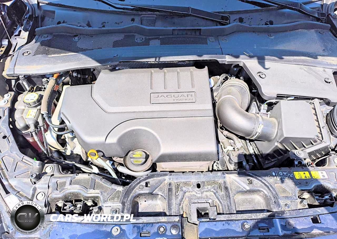 2024 Jaguar E-Pace R-Dynamic Se VIN:SADFL2FX3R1050842 - 13