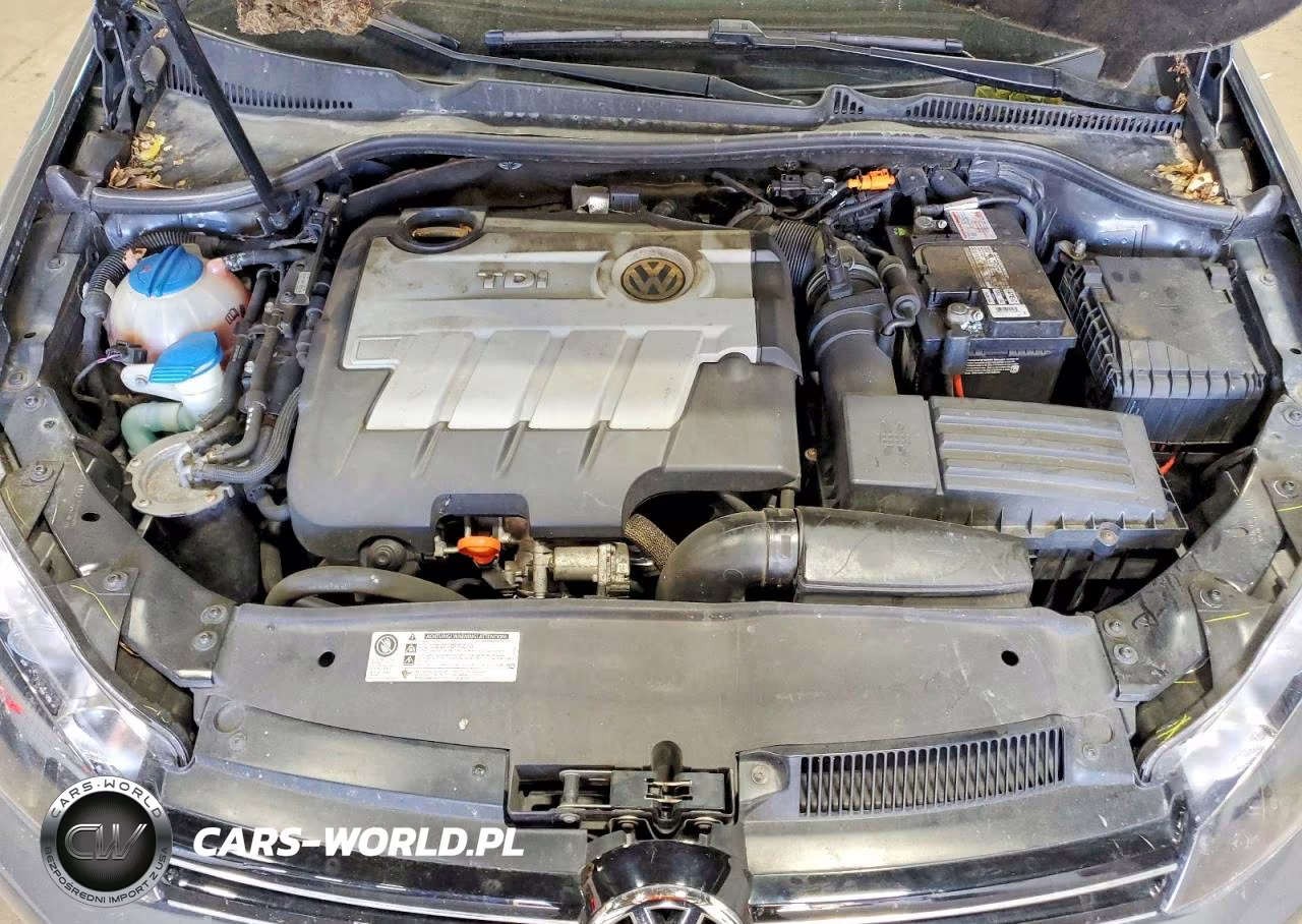 2010 Volkswagen Jetta Tdi VIN:3VWPL7AJ4AM686528 - 12