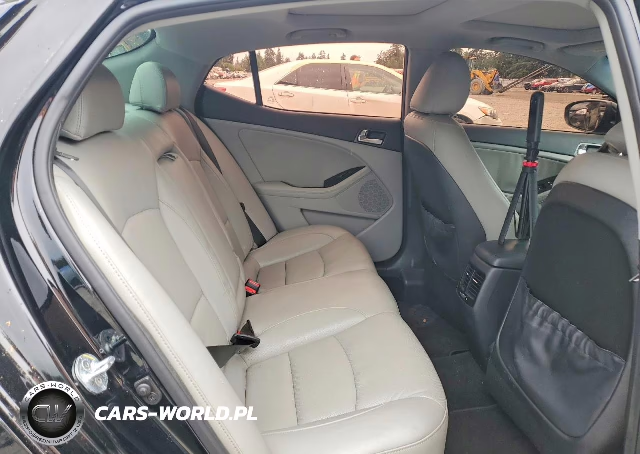 2015 Kia Optima Ex VIN:5XXGN4A75FG424672 - 10