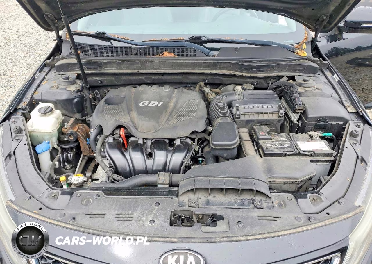 2015 Kia Optima Ex VIN:5XXGN4A75FG424672 - 11