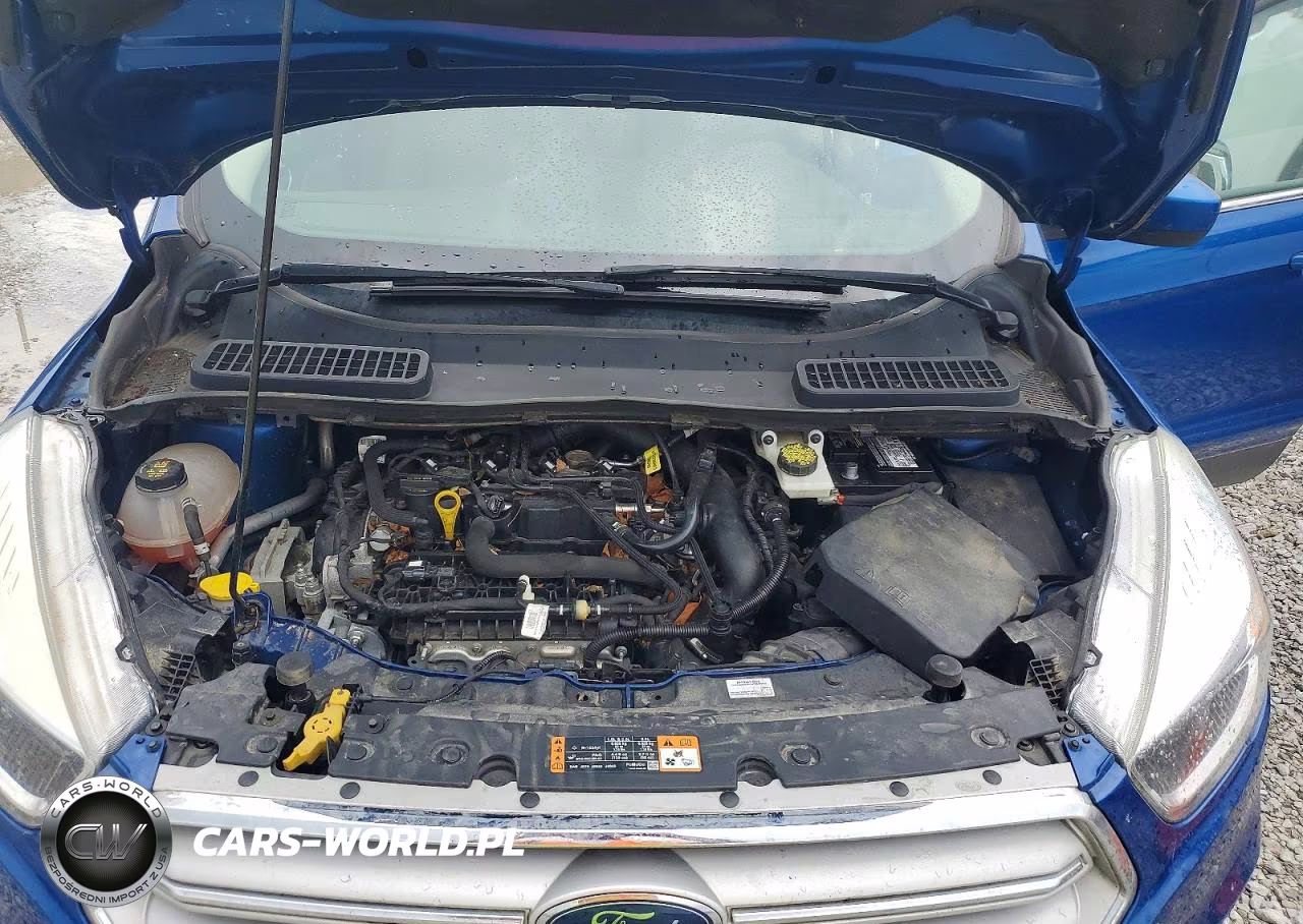 2019 Ford Escape Se VIN:1FMCU9GD8KUB14656 - 12