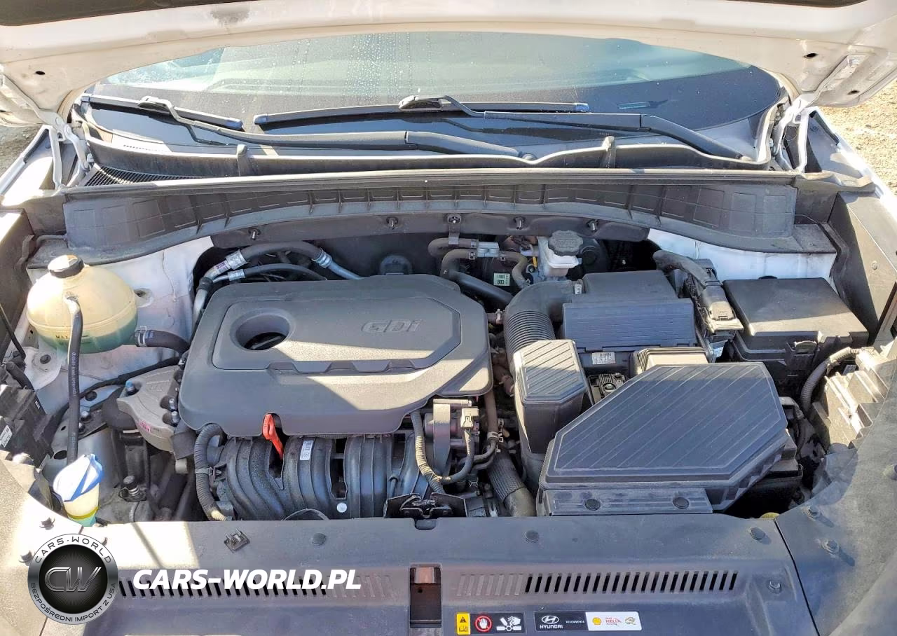 2019 Hyundai Tucson Ultimate VIN:KM8J3CAL0KU003669 - 12