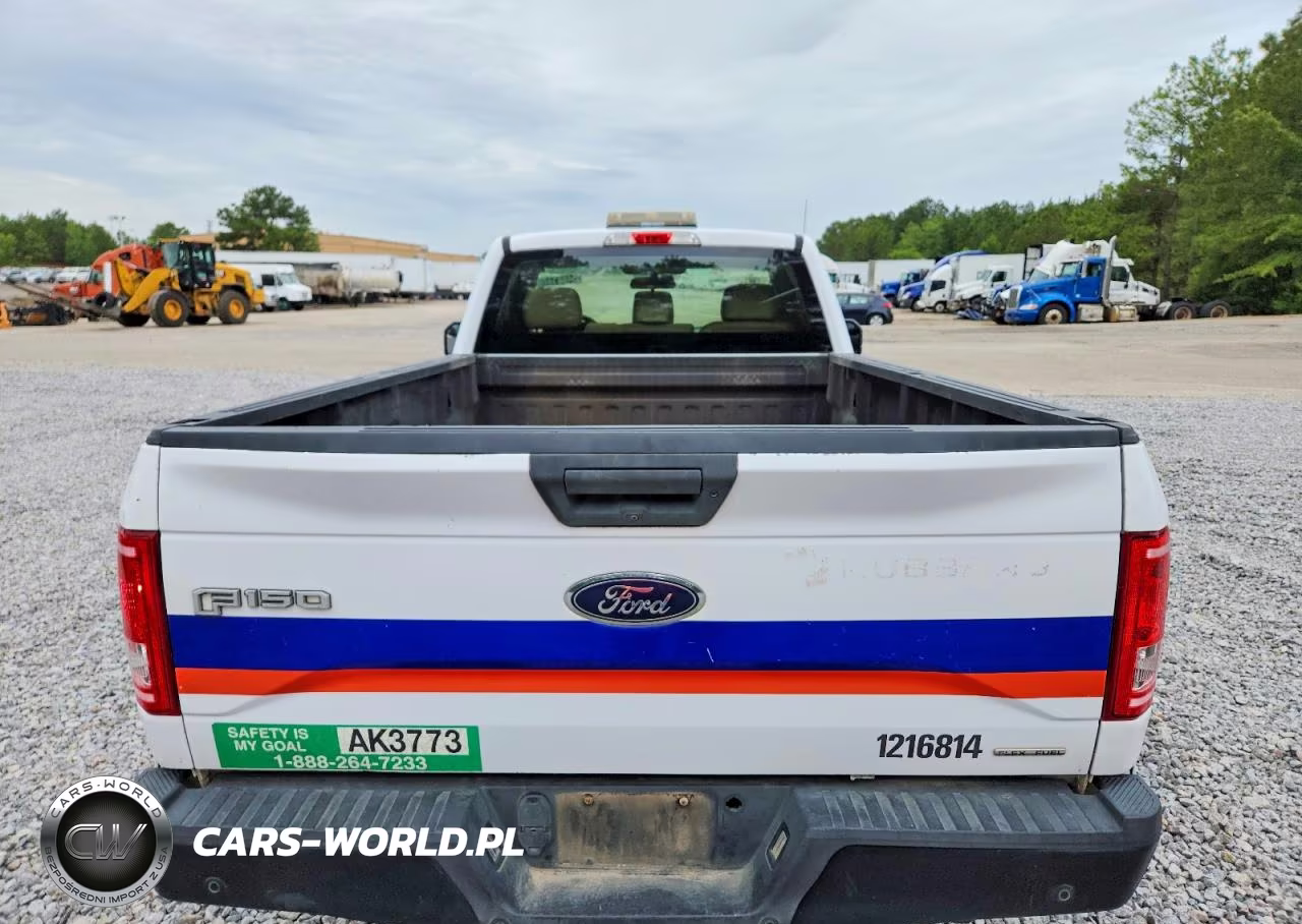 2016 Ford F150 VIN:1FTMF1E89GKF13265 - 10