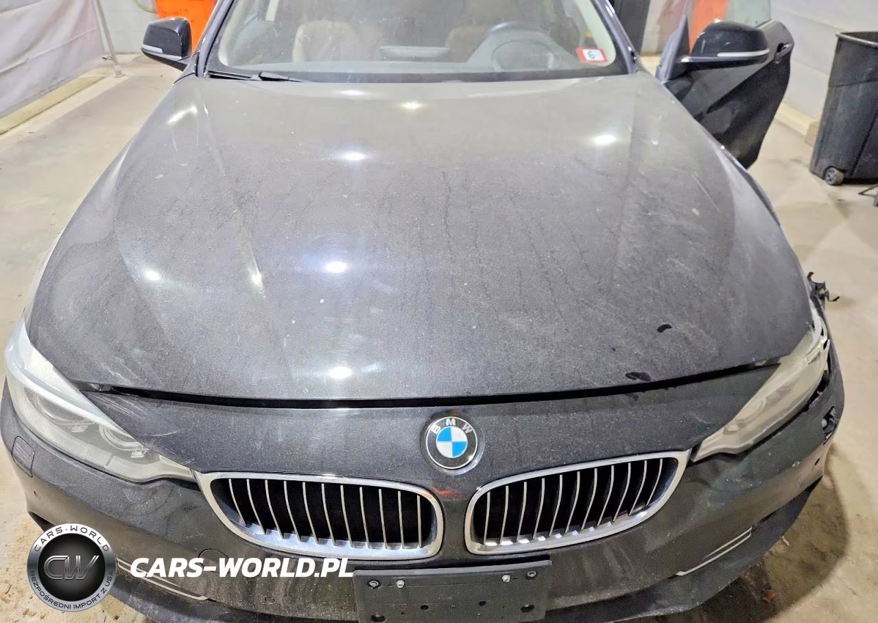 2014 BMW 428 Xi VIN:WBA3N9C59EF721509 - 11