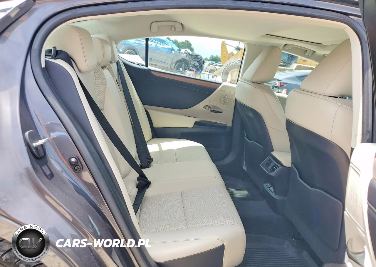 2023 Lexus Es 350 Base VIN:58ADZ1B10PU152483 - 10