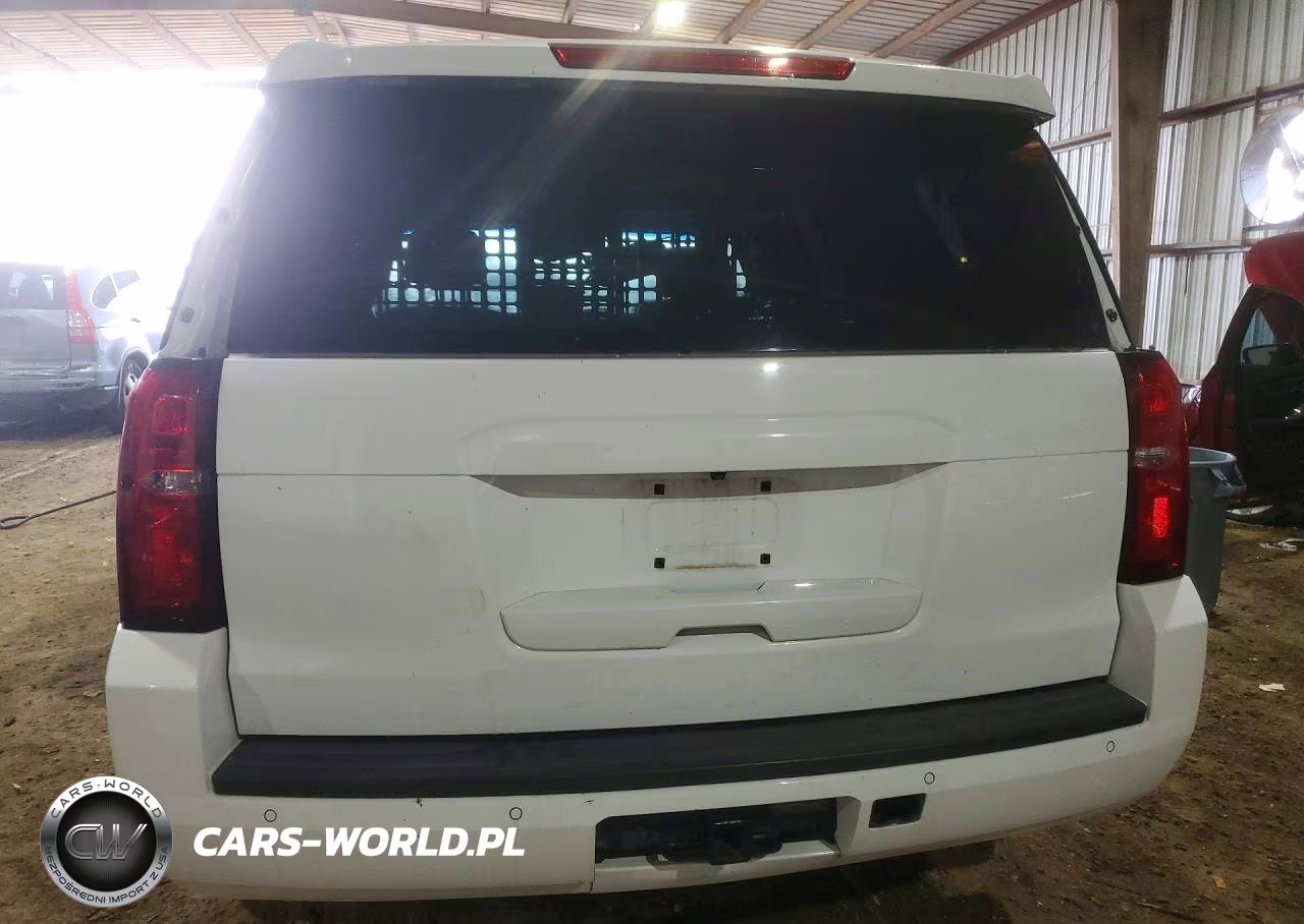2018 Chevrolet Tahoe Police VIN:1GNLCDEC0JR209001 - 6