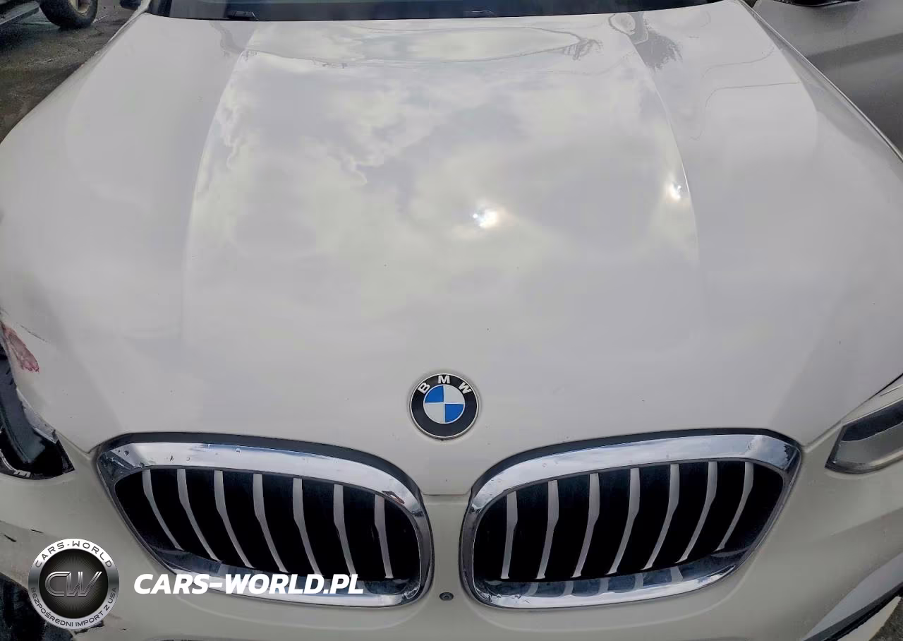 2018 BMW X3 xDrive30I VIN:5UXTR9C54JLD68021 - 12