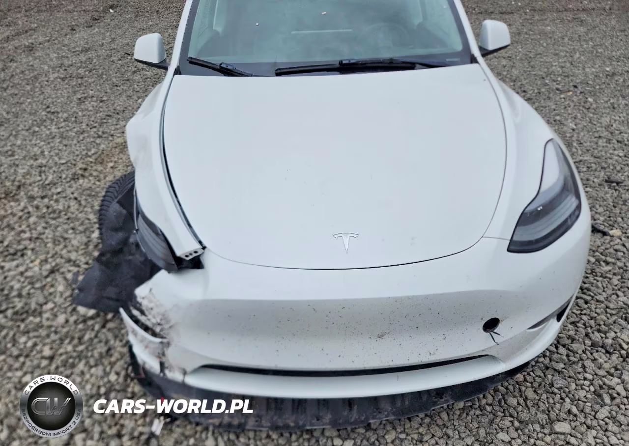 2023 Tesla Model Y VIN:7SAYGDEE2PF895726 - 11