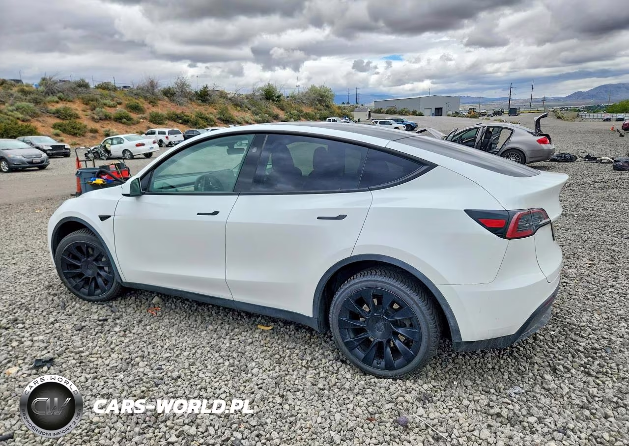 2023 Tesla Model Y VIN:7SAYGDEE2PF895726 - 2