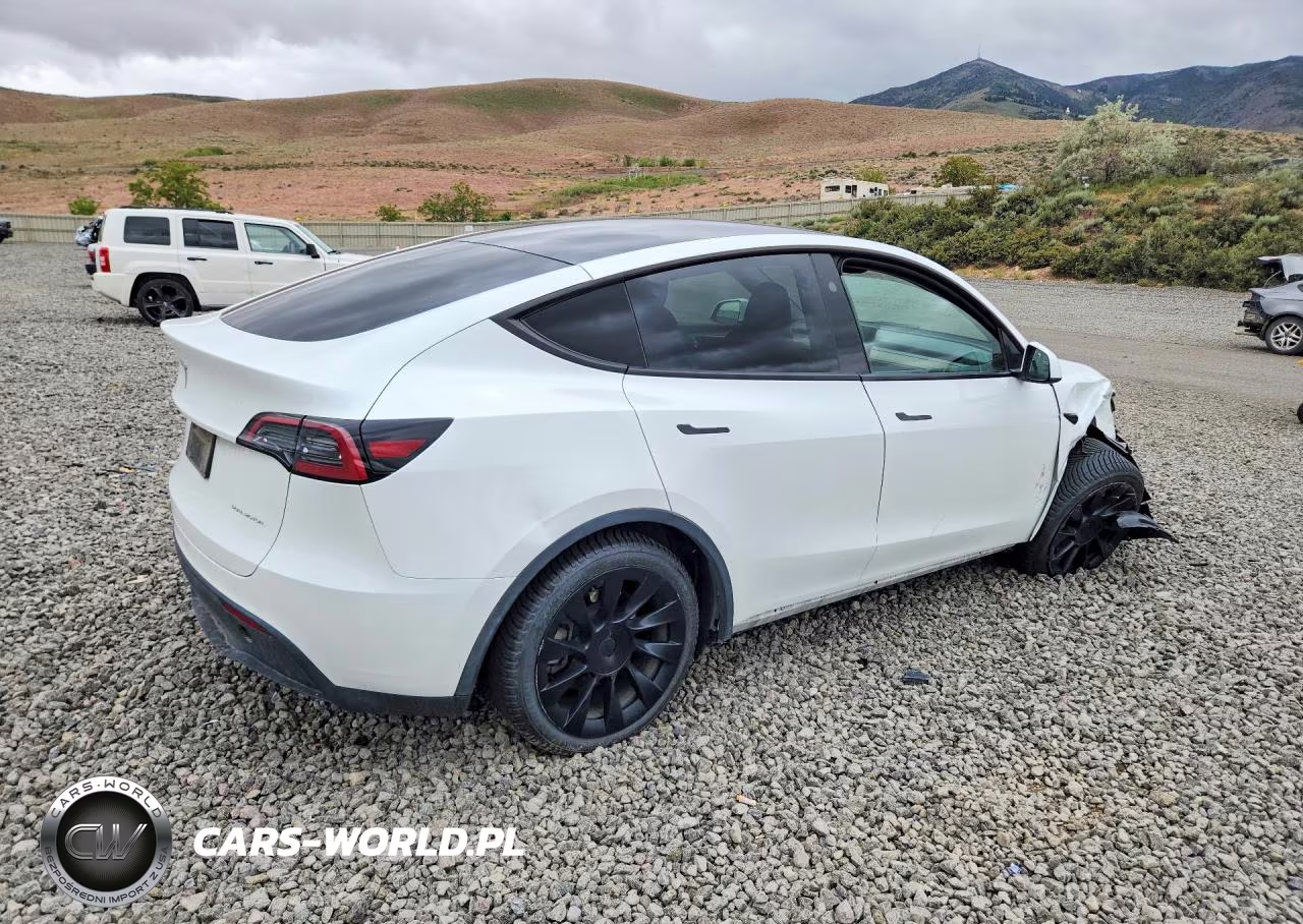 2023 Tesla Model Y VIN:7SAYGDEE2PF895726 - 3