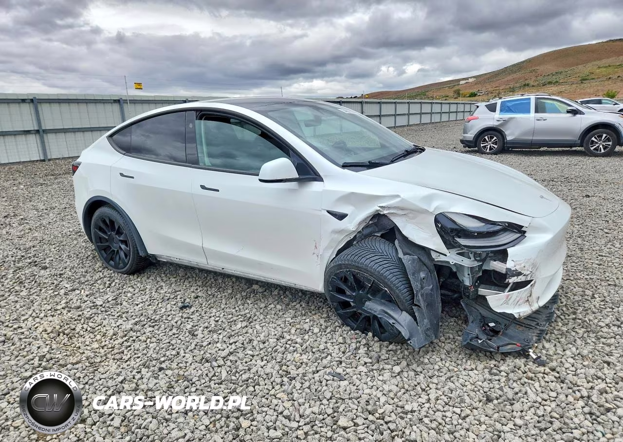 2023 Tesla Model Y VIN:7SAYGDEE2PF895726 - 4