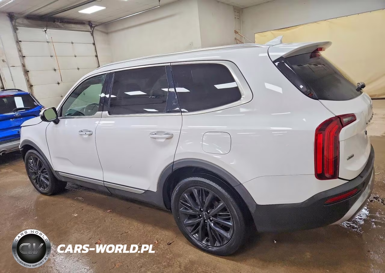 2022 Kia Telluride Sx VIN:5XYP5DHC5NG204851 - 2
