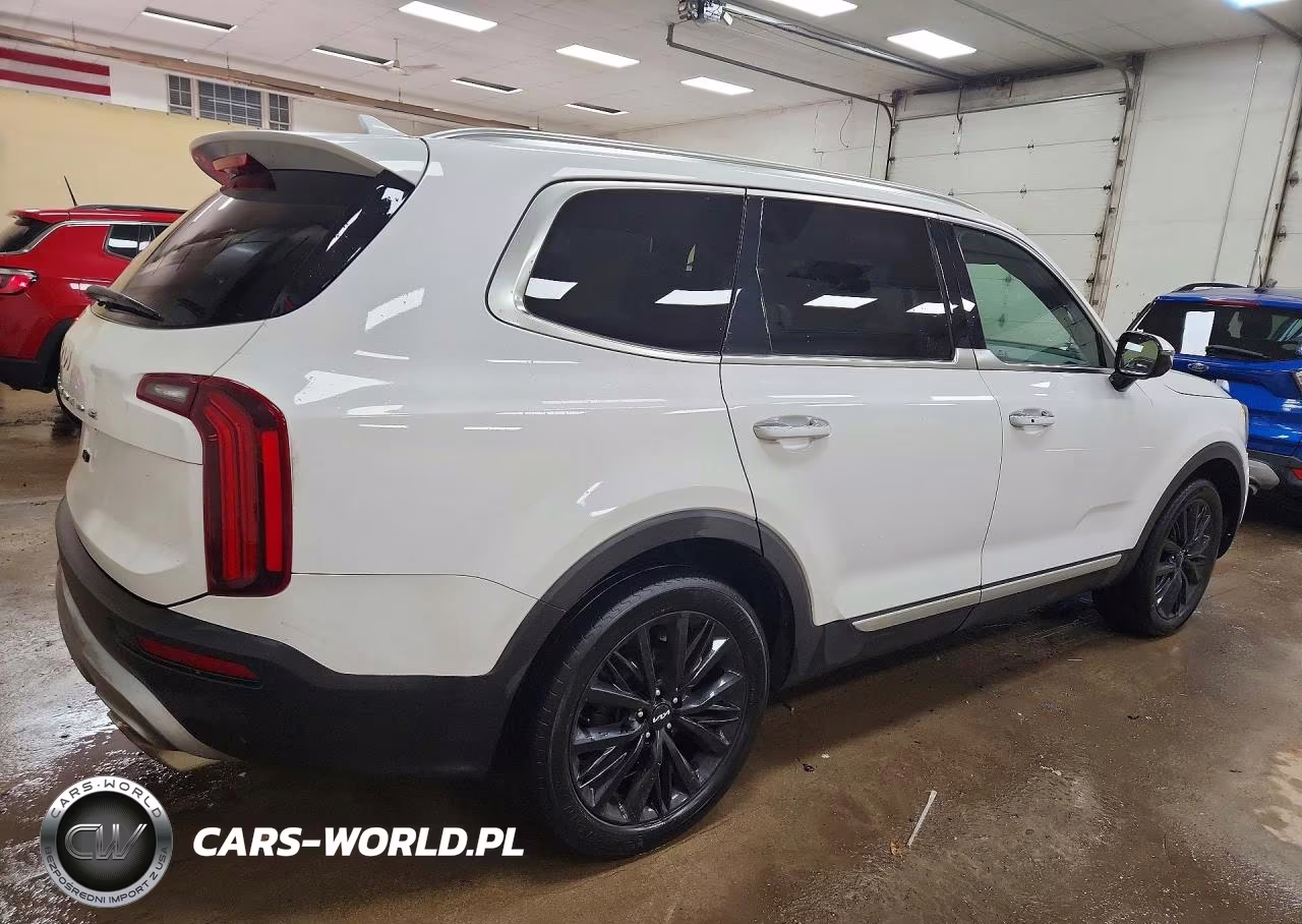 2022 Kia Telluride Sx VIN:5XYP5DHC5NG204851 - 3