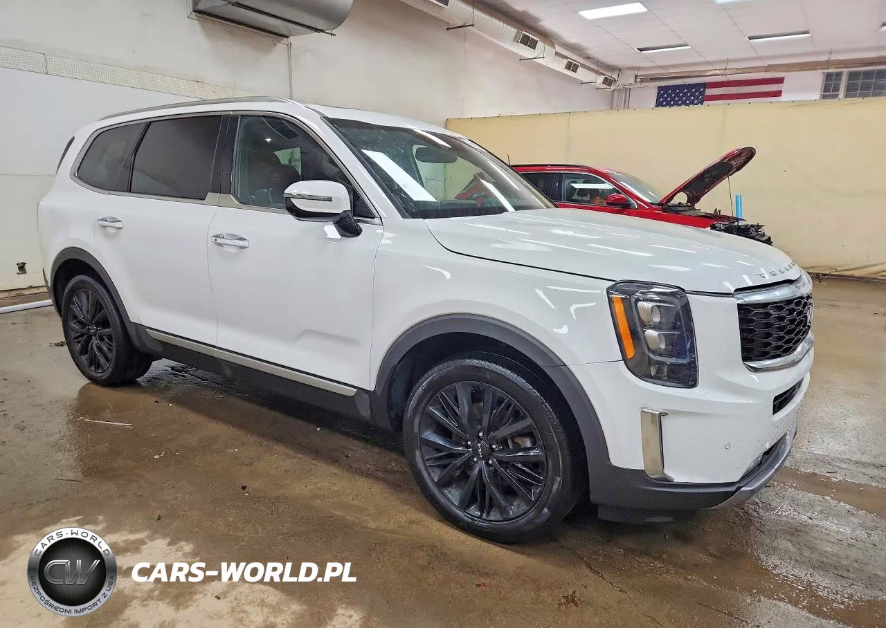 2022 Kia Telluride Sx VIN:5XYP5DHC5NG204851 - 4