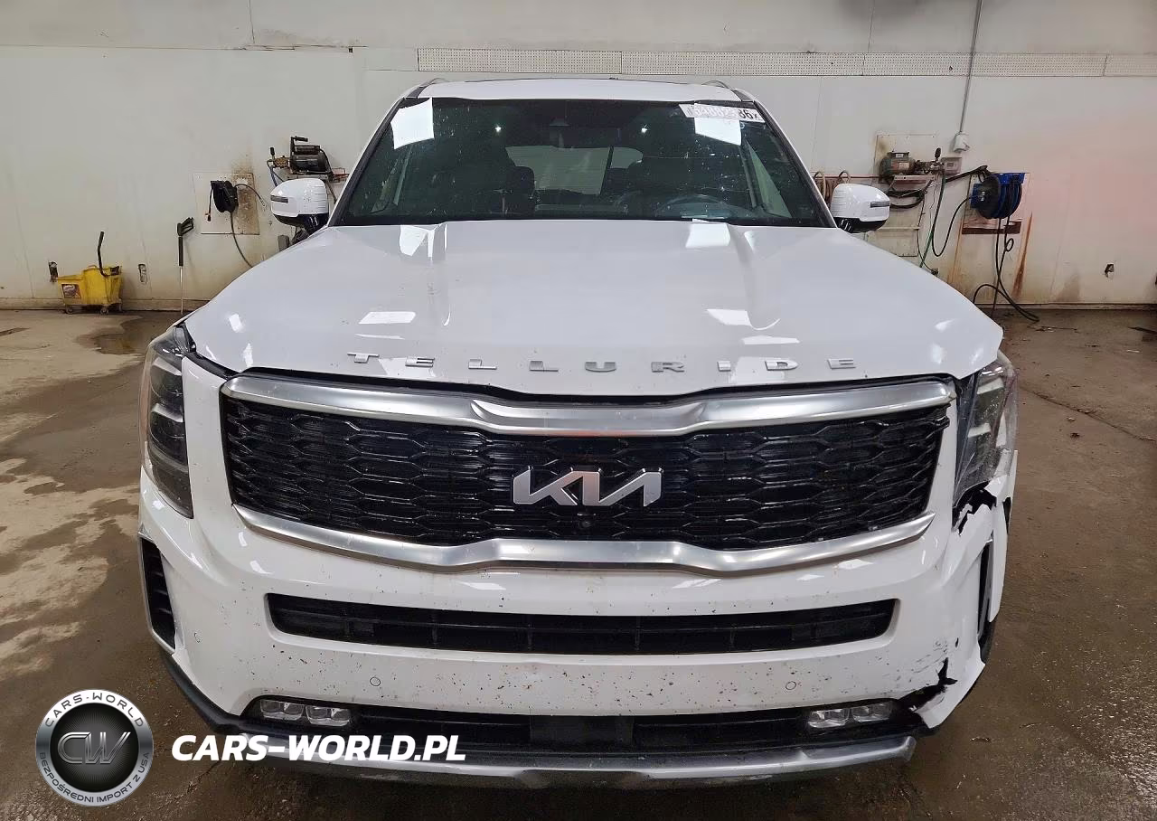 2022 Kia Telluride Sx VIN:5XYP5DHC5NG204851 - 5