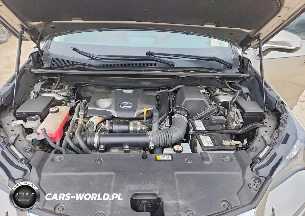 2021 Lexus Nx 300 Base VIN:JTJDARBZ5M5034486 - 12