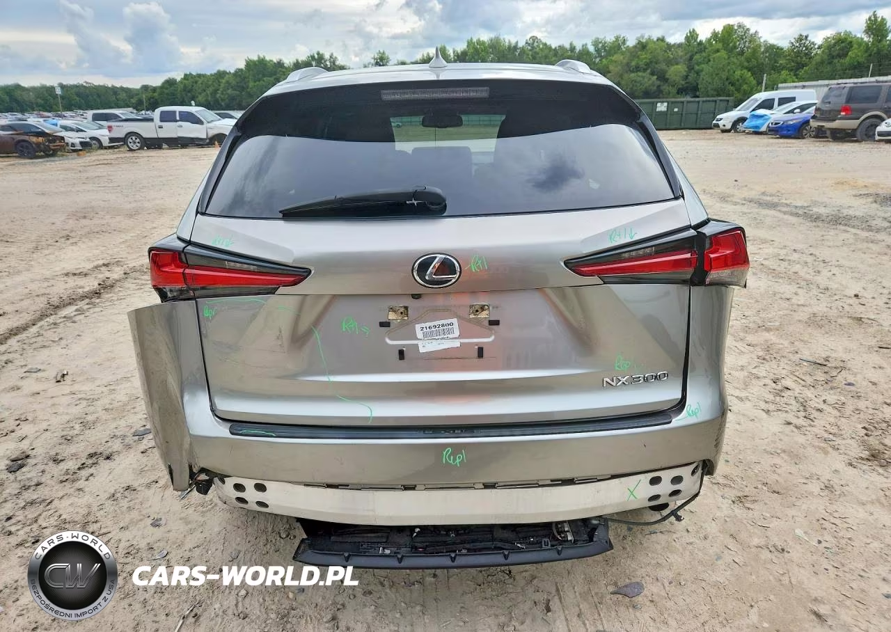 2021 Lexus Nx 300 Base VIN:JTJDARBZ5M5034486 - 6