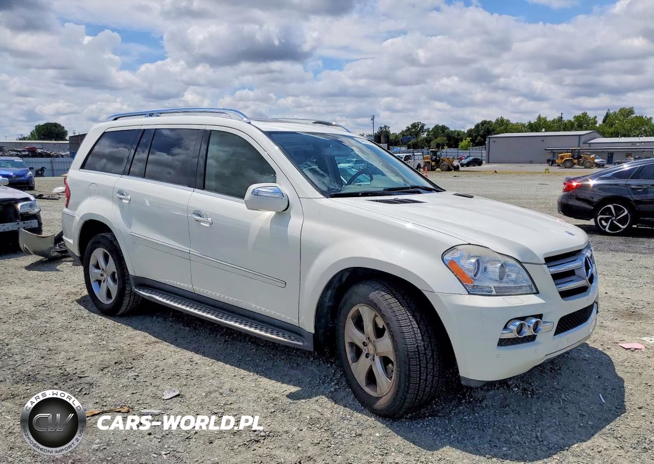 2010 Mercedes-Benz Gl 450 4Matic VIN:4JGBF7BE2AA539879 - 4