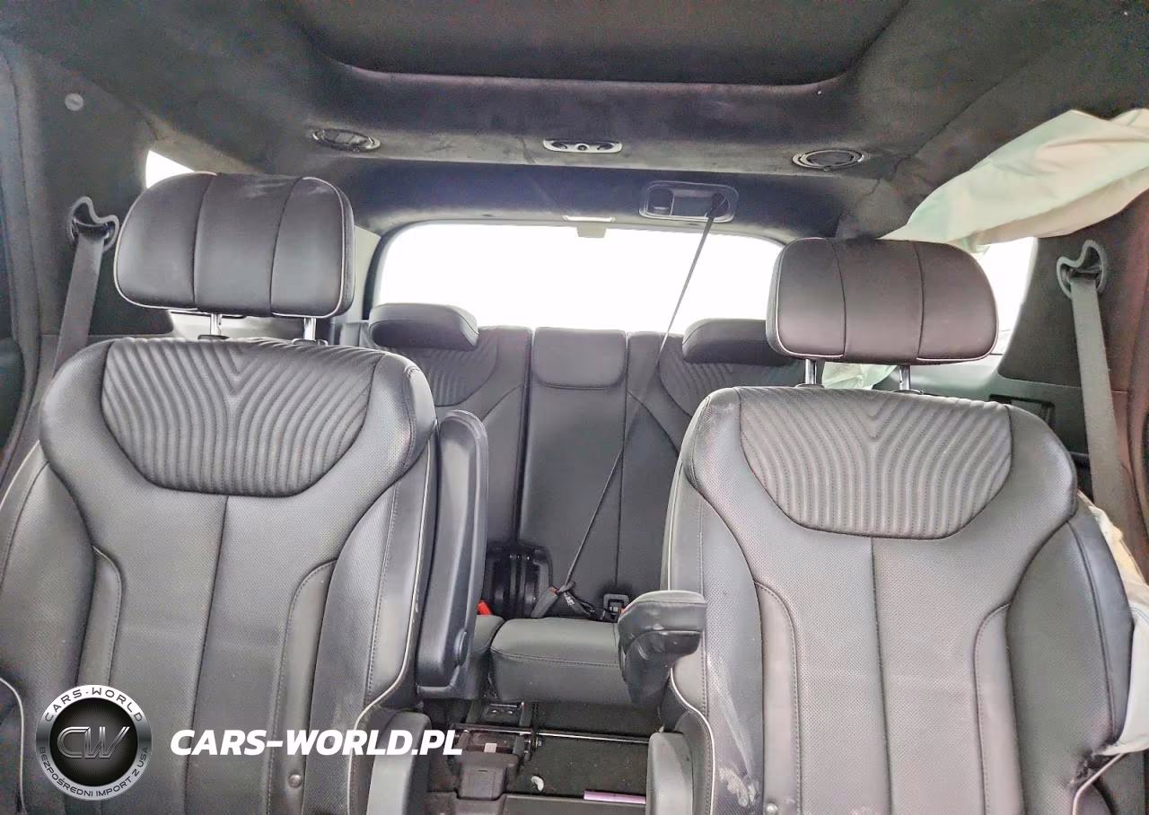 2023 Hyundai Palisade Calligraphy VIN:KM8R7DGE9PU599927 - 10