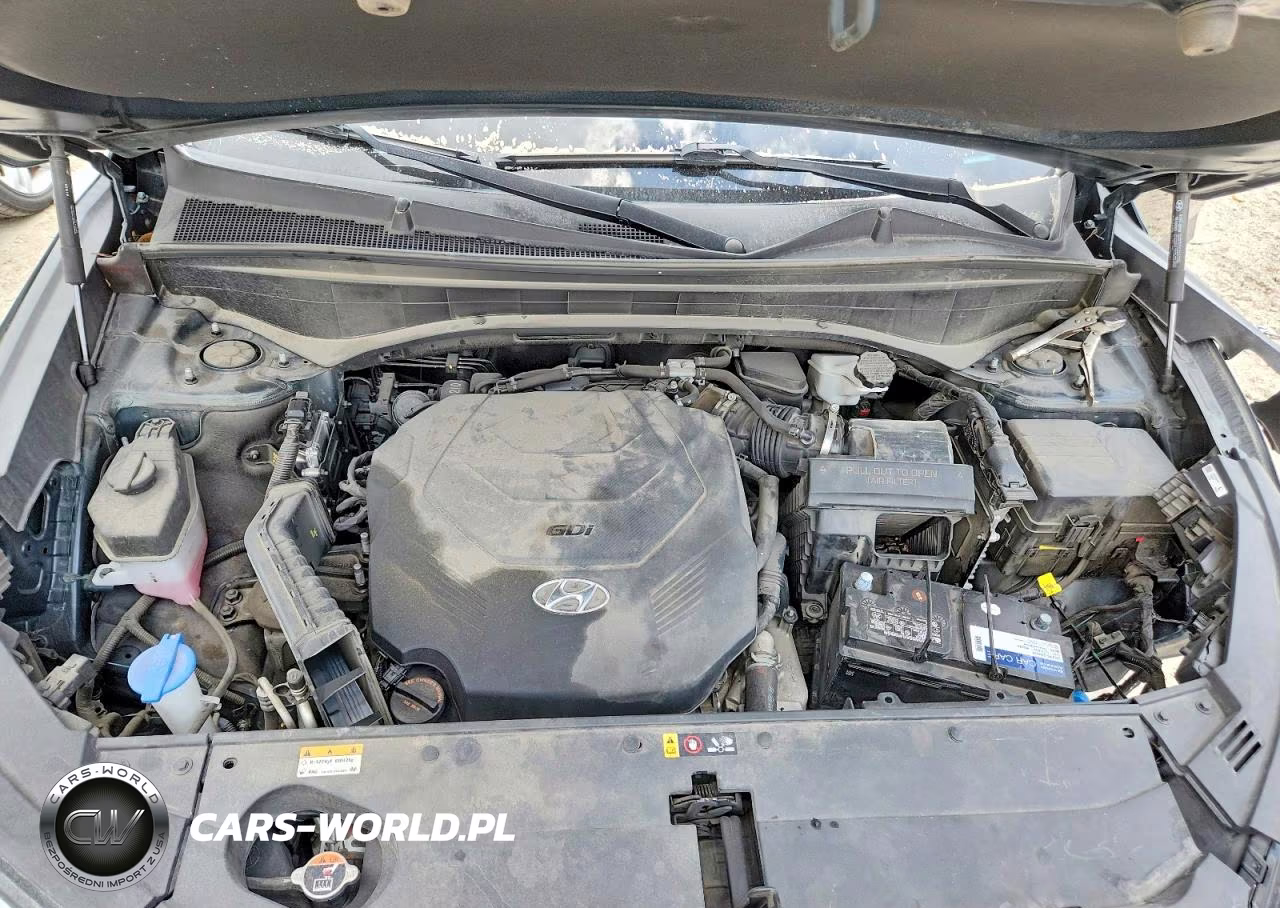 2023 Hyundai Palisade Calligraphy VIN:KM8R7DGE9PU599927 - 12