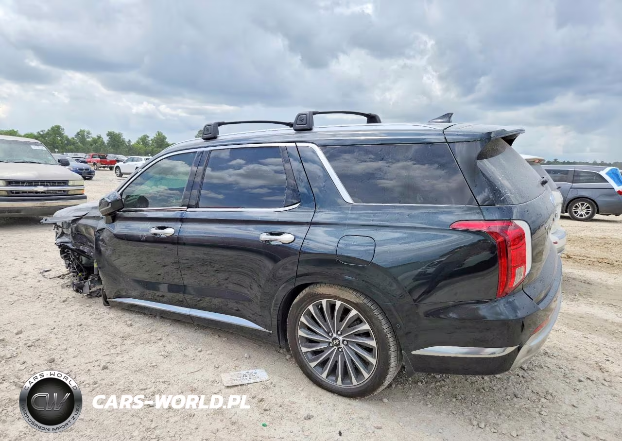 2023 Hyundai Palisade Calligraphy VIN:KM8R7DGE9PU599927 - 2