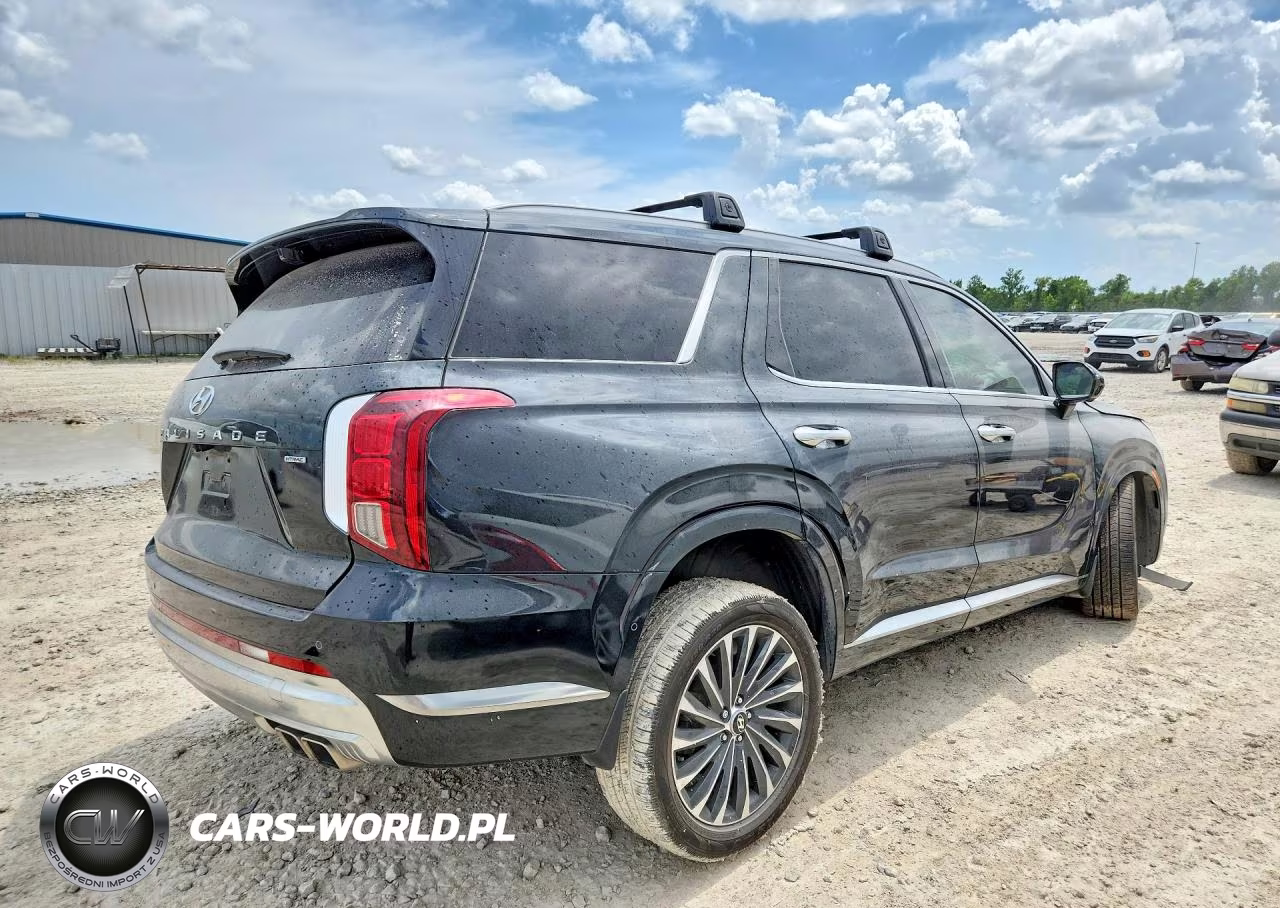 2023 Hyundai Palisade Calligraphy VIN:KM8R7DGE9PU599927 - 3