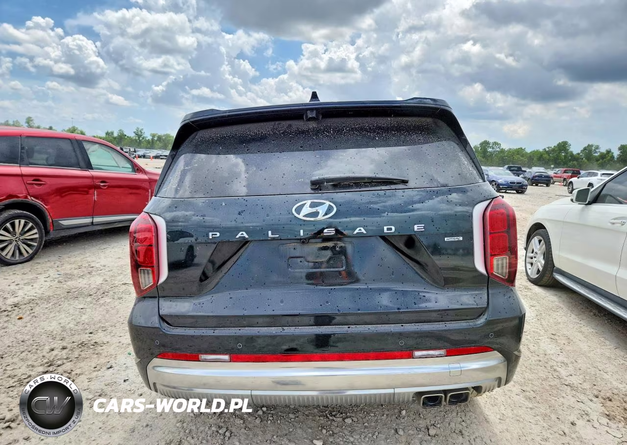 2023 Hyundai Palisade Calligraphy VIN:KM8R7DGE9PU599927 - 6