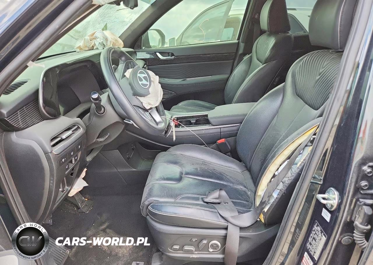 2023 Hyundai Palisade Calligraphy VIN:KM8R7DGE9PU599927 - 7