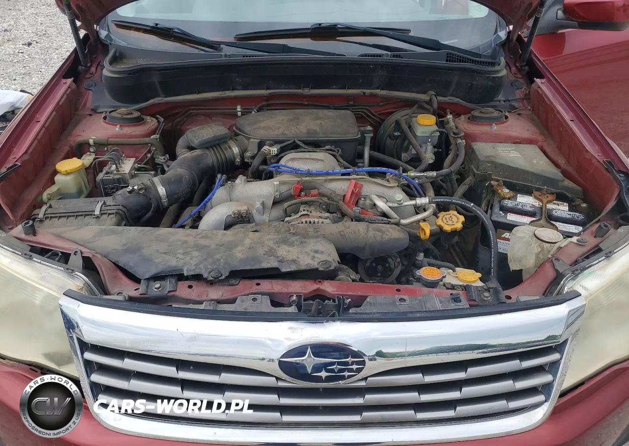 2010 Subaru Forester 2.5X Premium VIN:JF2SH6CC5AH766269 - 12
