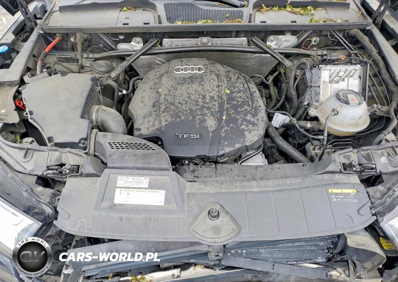 2019 Audi Q5 Premium Plus VIN:WA1BNAFY7K2102717 - 12