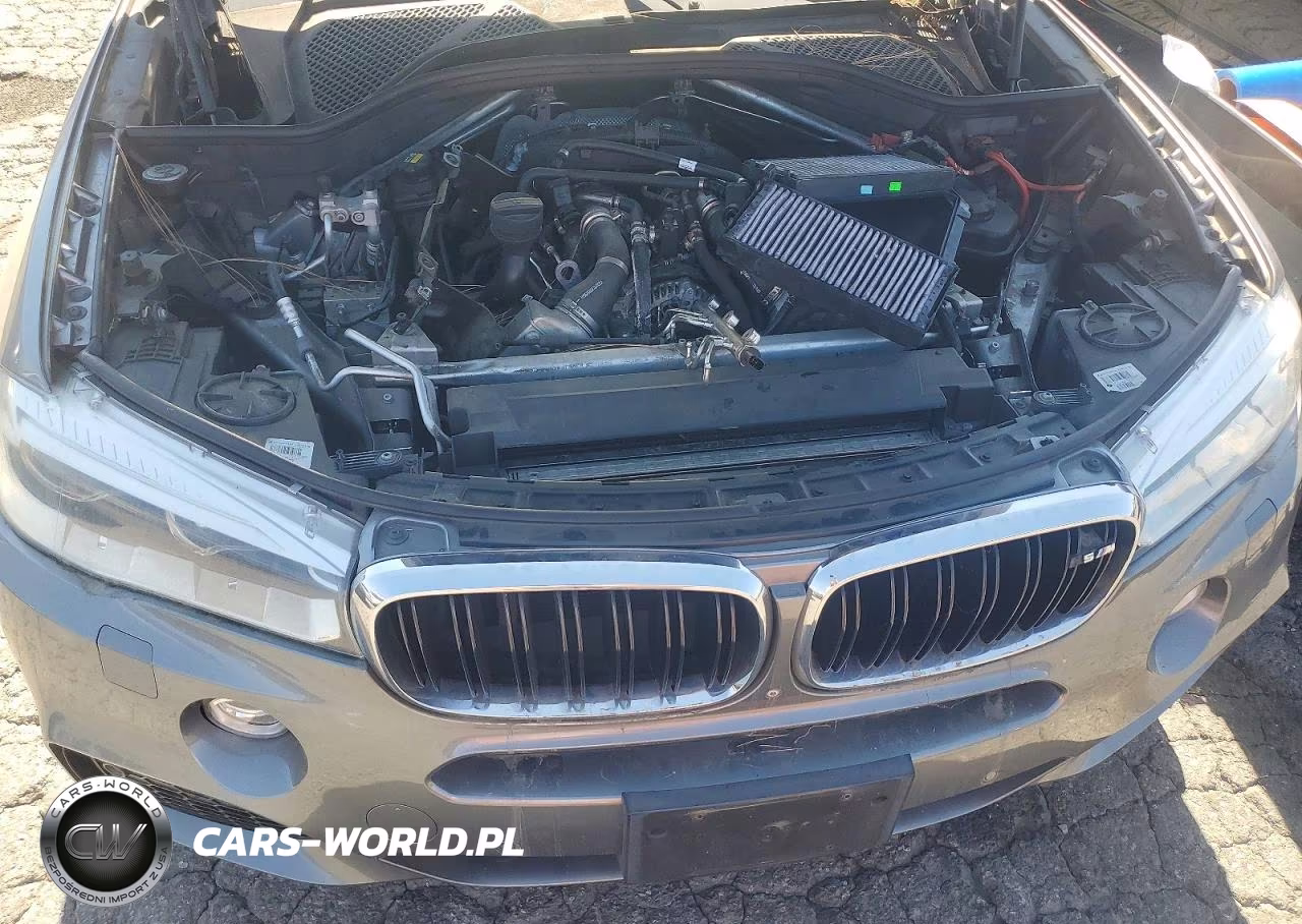 2015 BMW X5 xDrive50I VIN:5UXKR6C51F0J75373 - 12