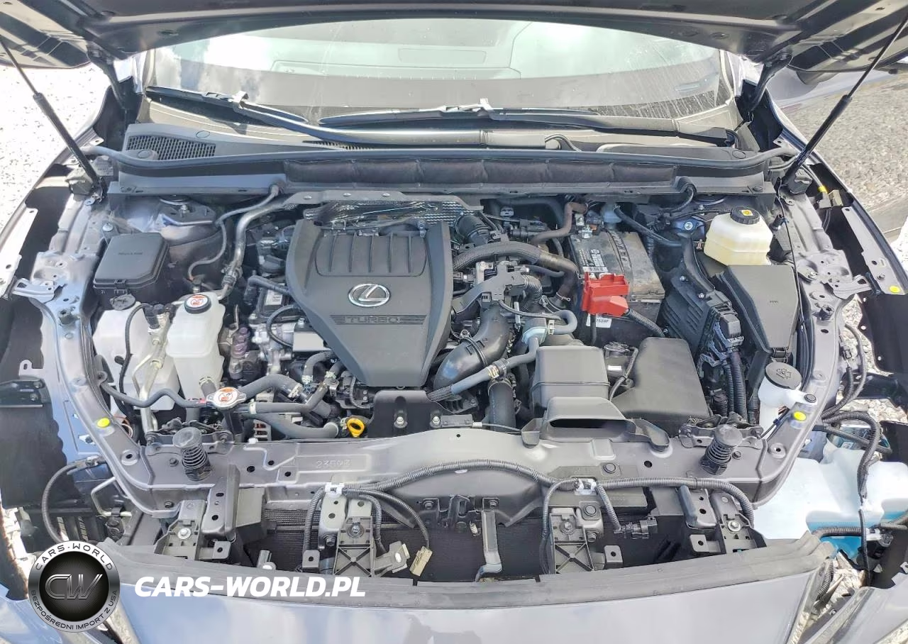 2025 Lexus Rx 350 Premium VIN:JTJCHMAA1S2031539 - 12
