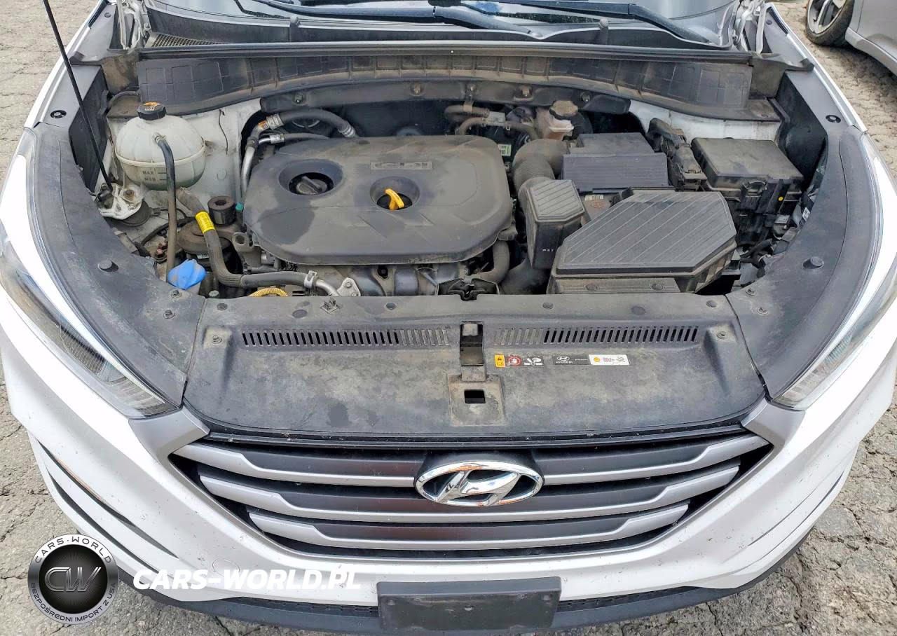 2018 Hyundai Tucson Sel Plus VIN:KM8J33A41JU716734 - 12