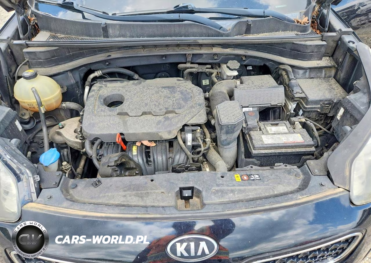 2017 Kia Sportage Ex VIN:KNDPN3AC2H7051268 - 11