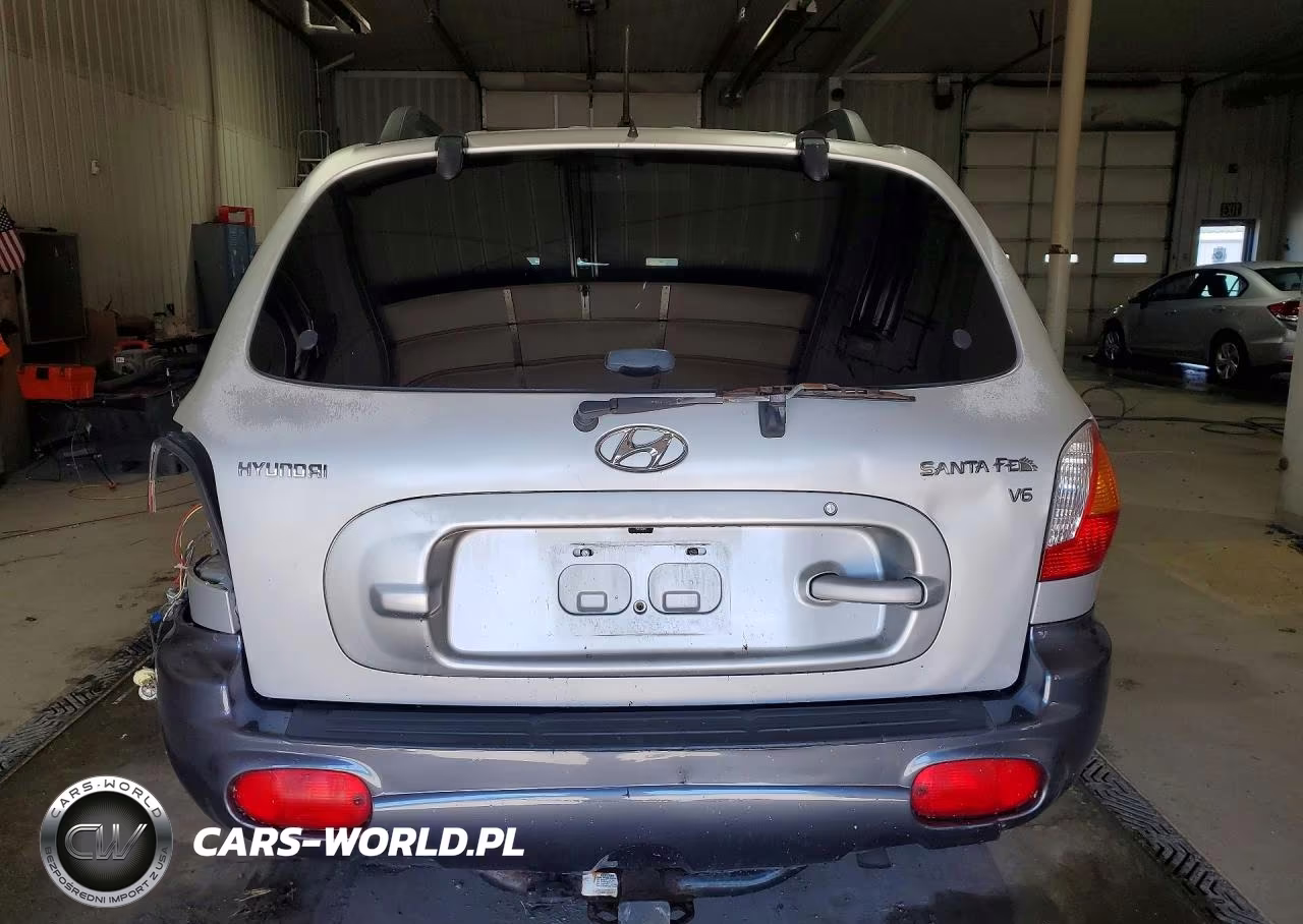 2004 Hyundai Santa Fe Gls VIN:KM8SC13D04U783660 - 6