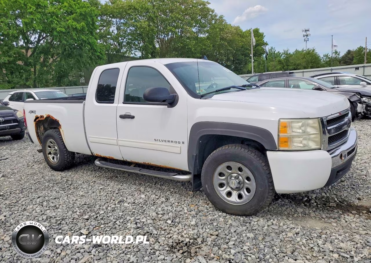 2009 Chevrolet Silverado K1500 VIN:2GCEK19C791126425 - 4