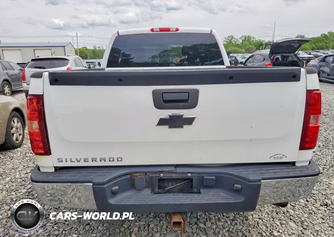 2009 Chevrolet Silverado K1500 VIN:2GCEK19C791126425 - 6