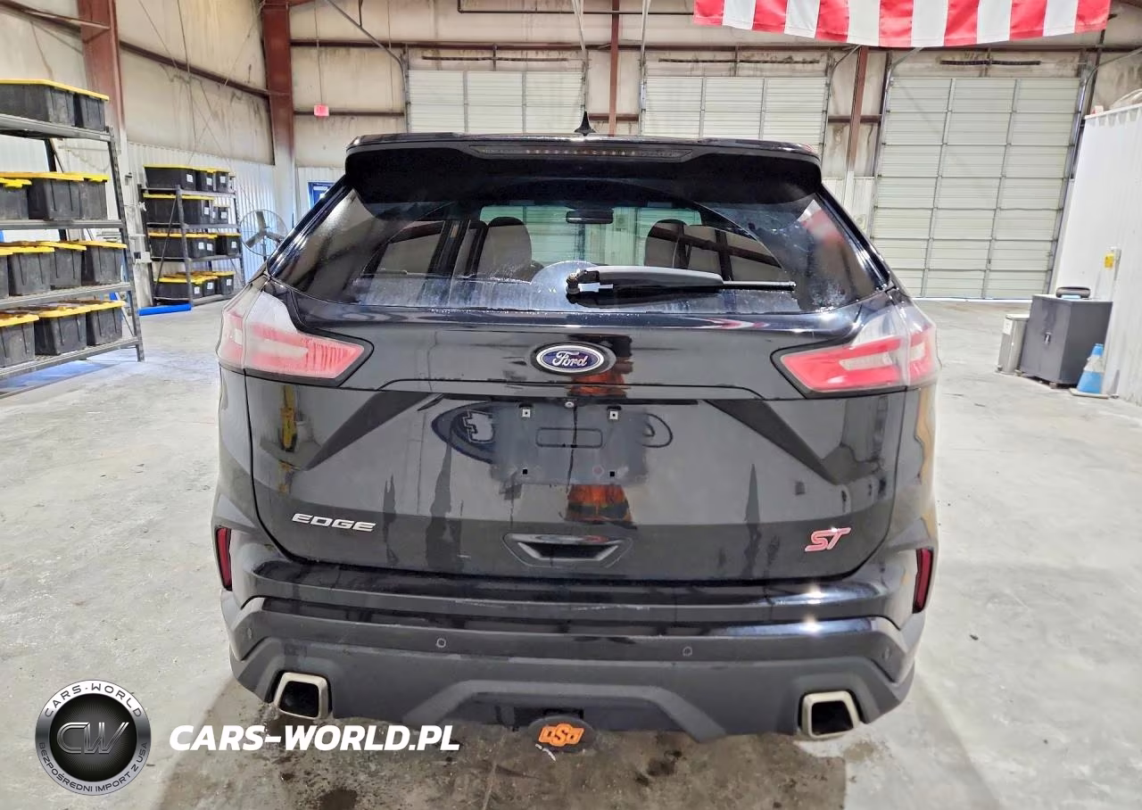 2019 Ford Edge St VIN:2FMPK4AP5KBB01057 - 6