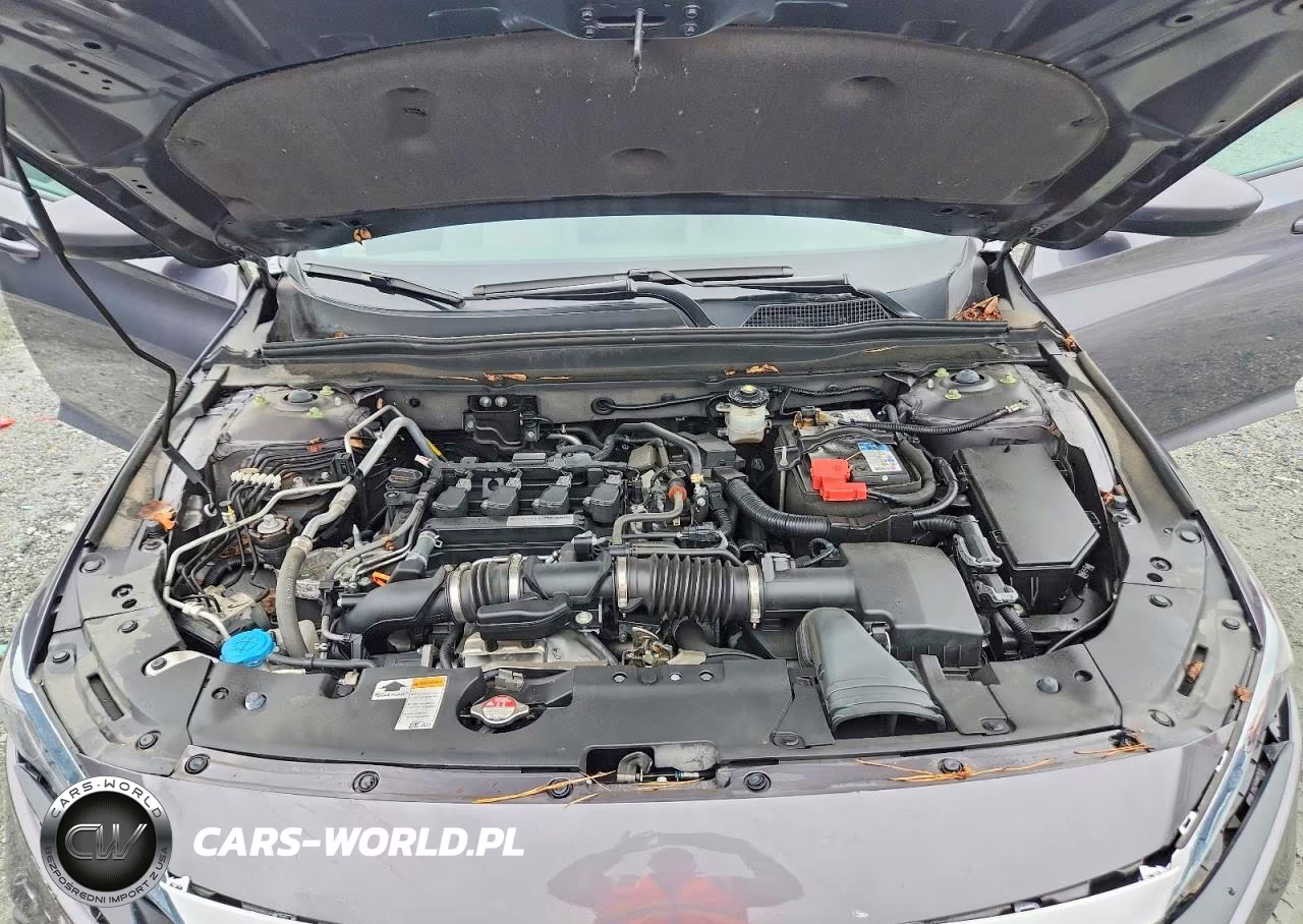 2019 Honda Accord Lx VIN:1HGCV1F12KA076936 - 11