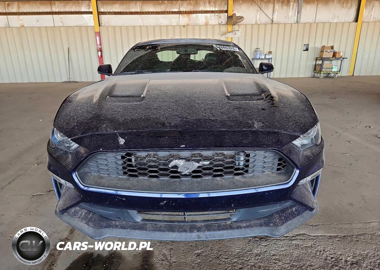 2019 Ford Mustang Gt VIN:1FA6P8CFXK5189532 - 5