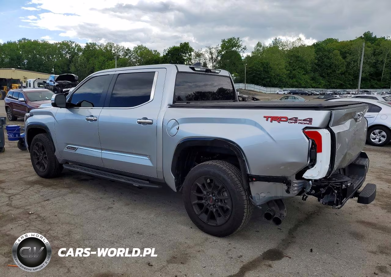 2025 Toyota Tundra 1794 Edition VIN:5TFMA5DB5SX295596 - 2