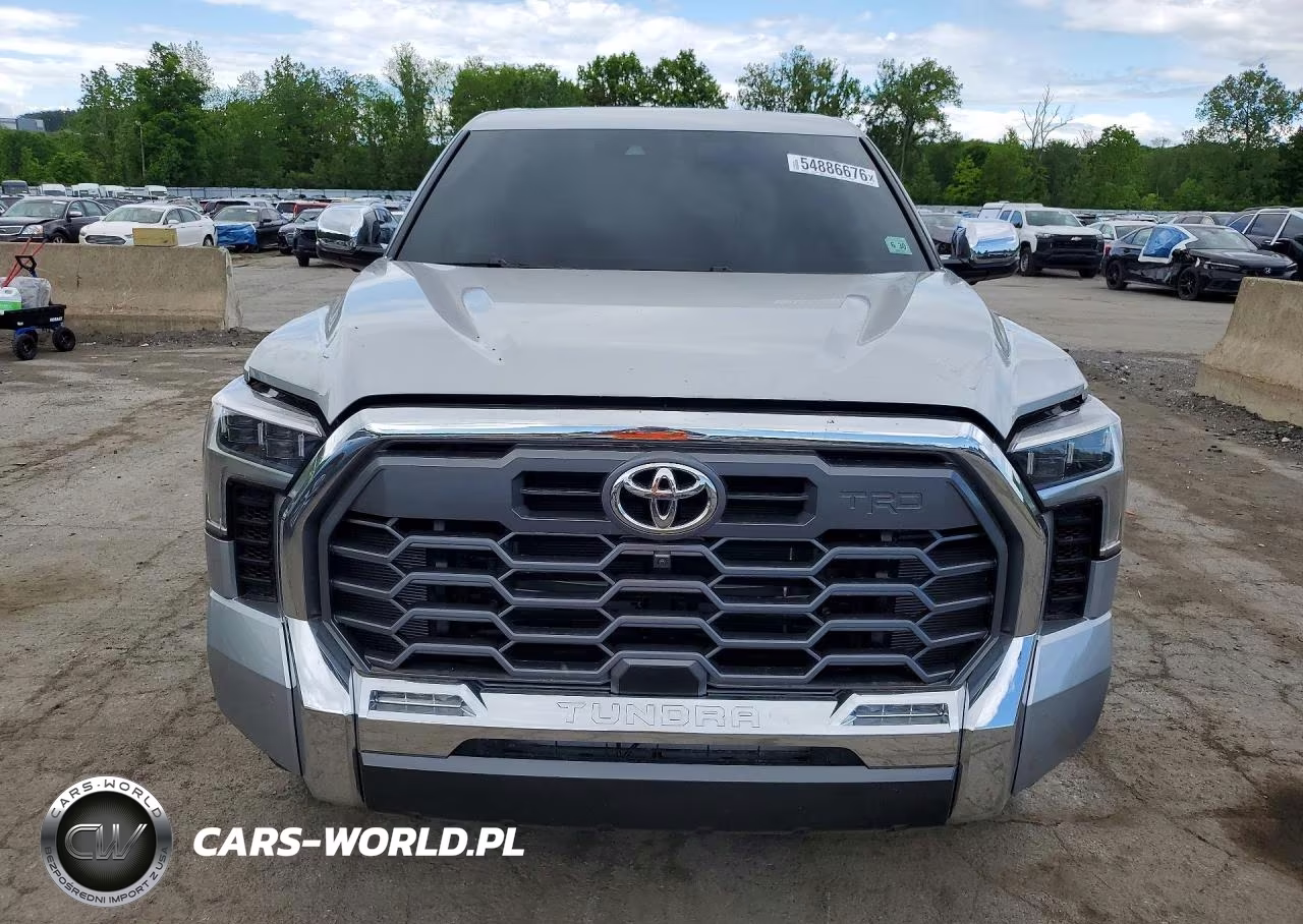 2025 Toyota Tundra 1794 Edition VIN:5TFMA5DB5SX295596 - 5