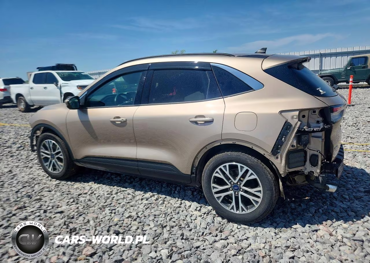 2020 Ford Escape Sel VIN:1FMCU0H66LUC60776 - 2