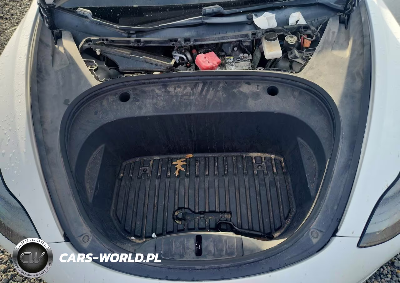 2021 Tesla Model 3 VIN:5YJ3E1EA0MF907831 - 11