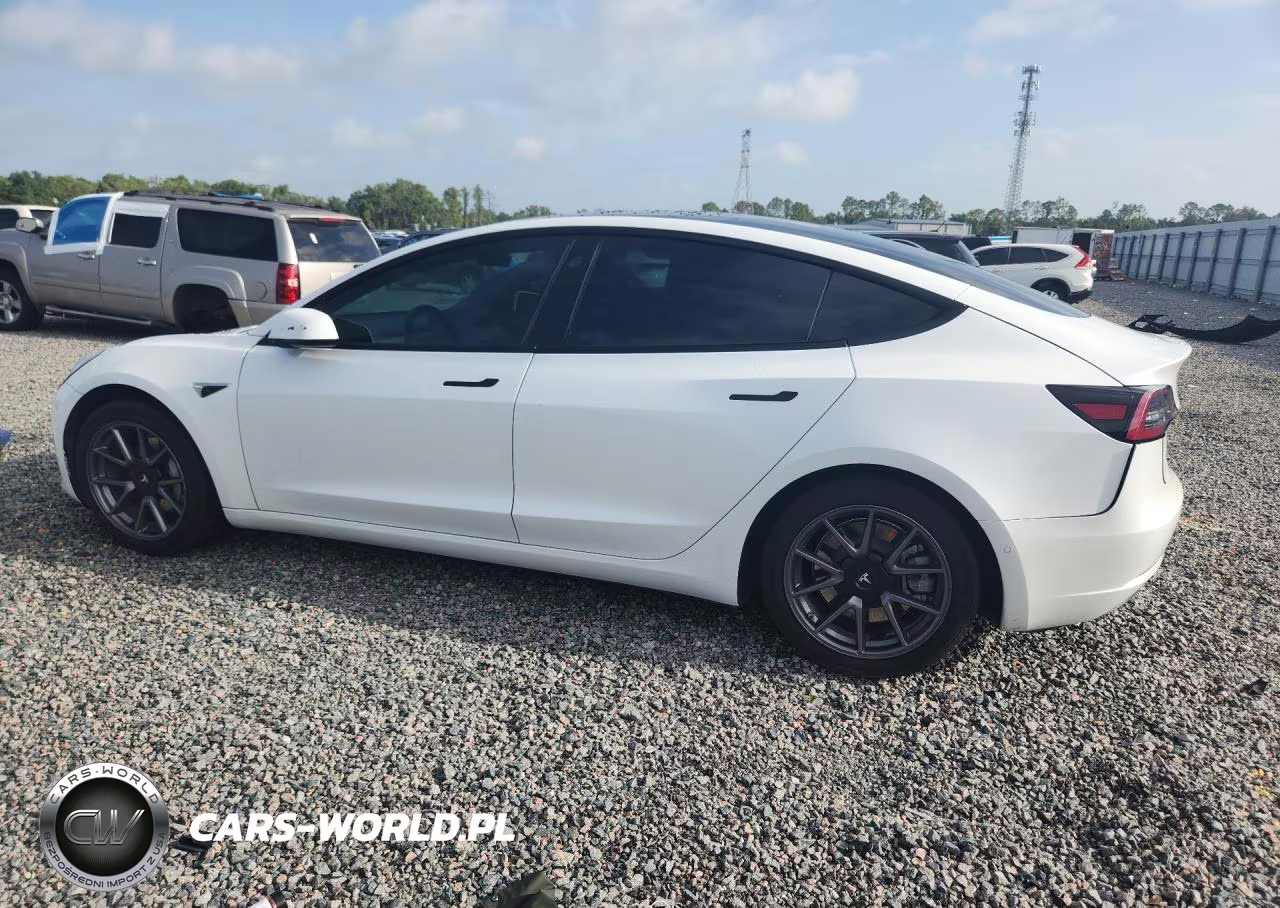 2021 Tesla Model 3 VIN:5YJ3E1EA0MF907831 - 2