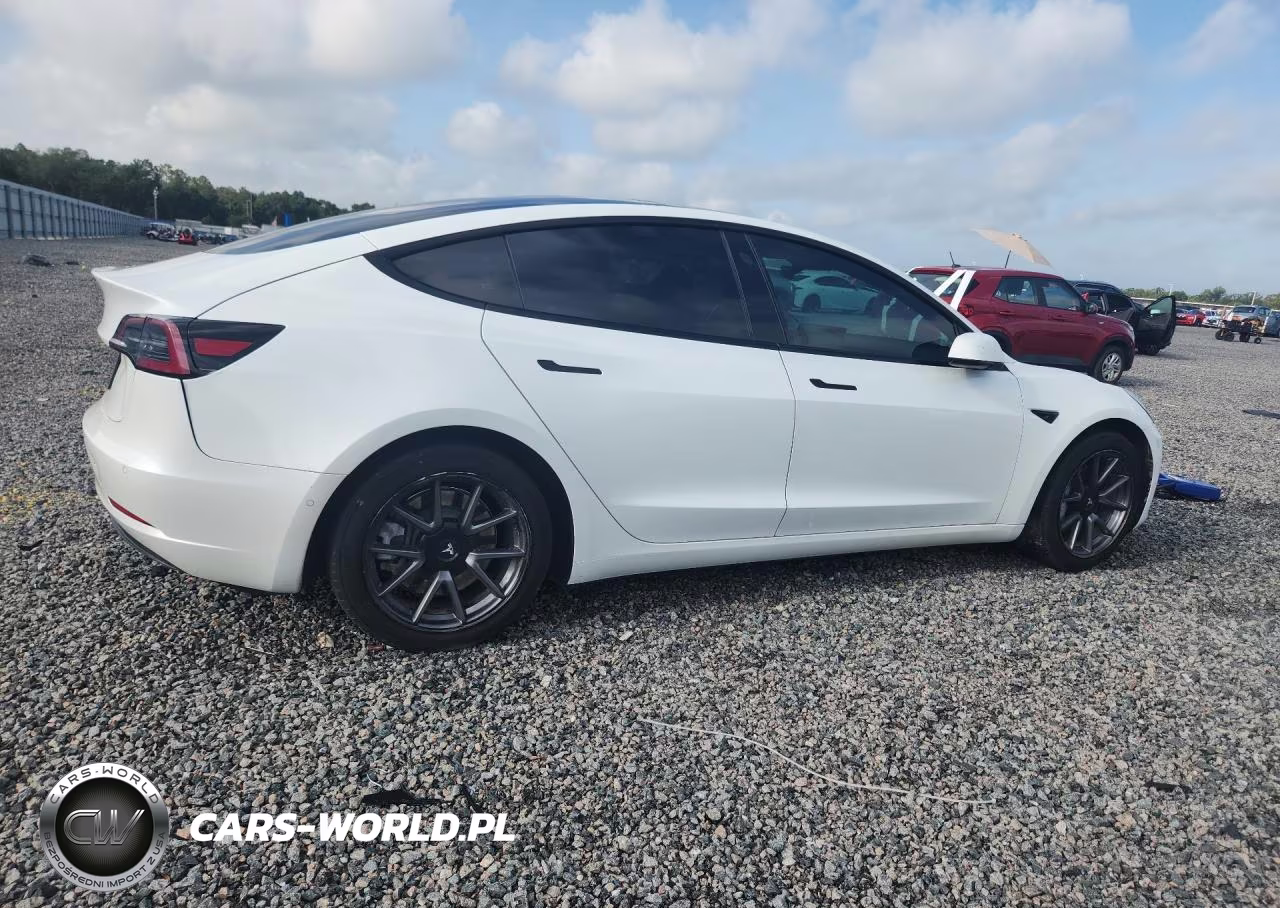 2021 Tesla Model 3 VIN:5YJ3E1EA0MF907831 - 3