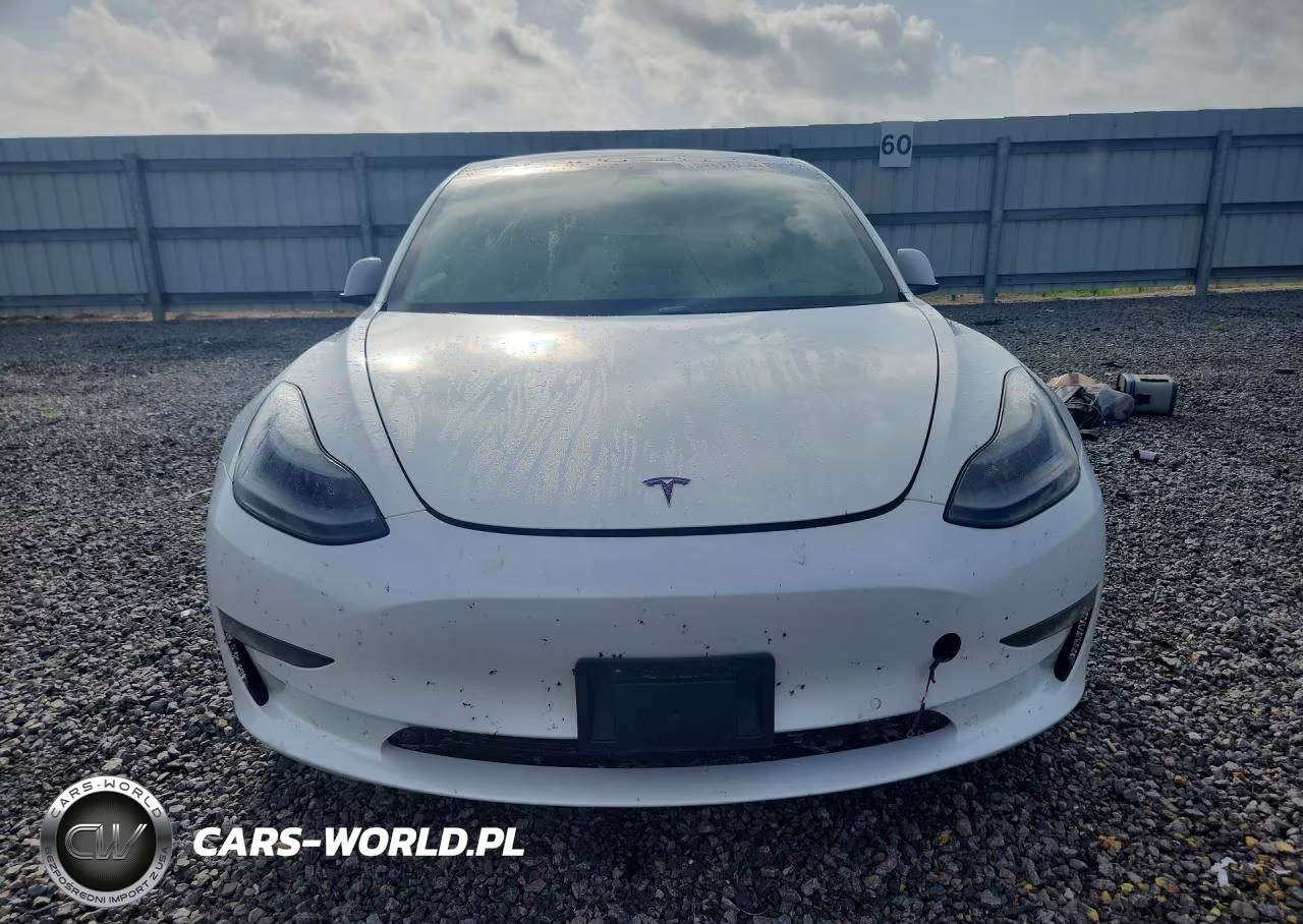 2021 Tesla Model 3 VIN:5YJ3E1EA0MF907831 - 5