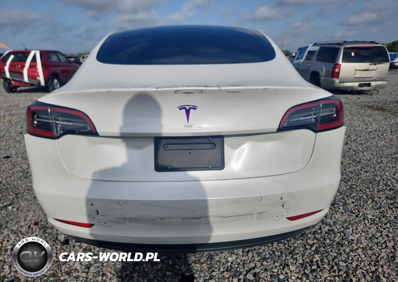 2021 Tesla Model 3 VIN:5YJ3E1EA0MF907831 - 6